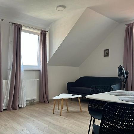 Sabina Apartaments Sfântu-Gheorghe Kültér fotó