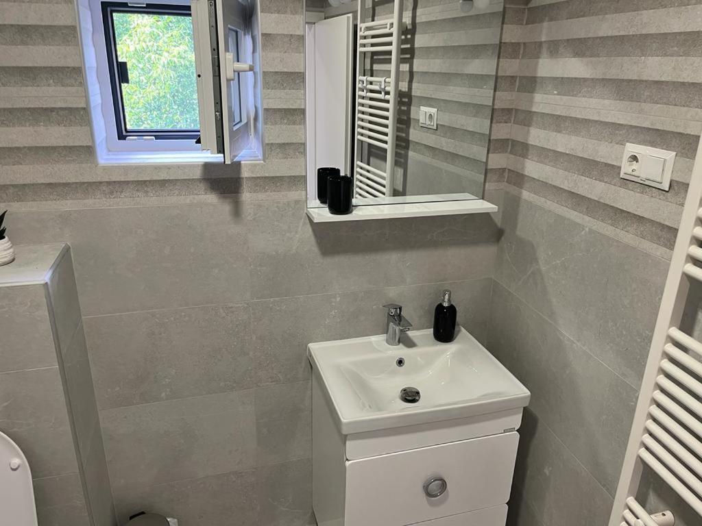 Sabina Apartaments Sfântu-Gheorghe Kültér fotó