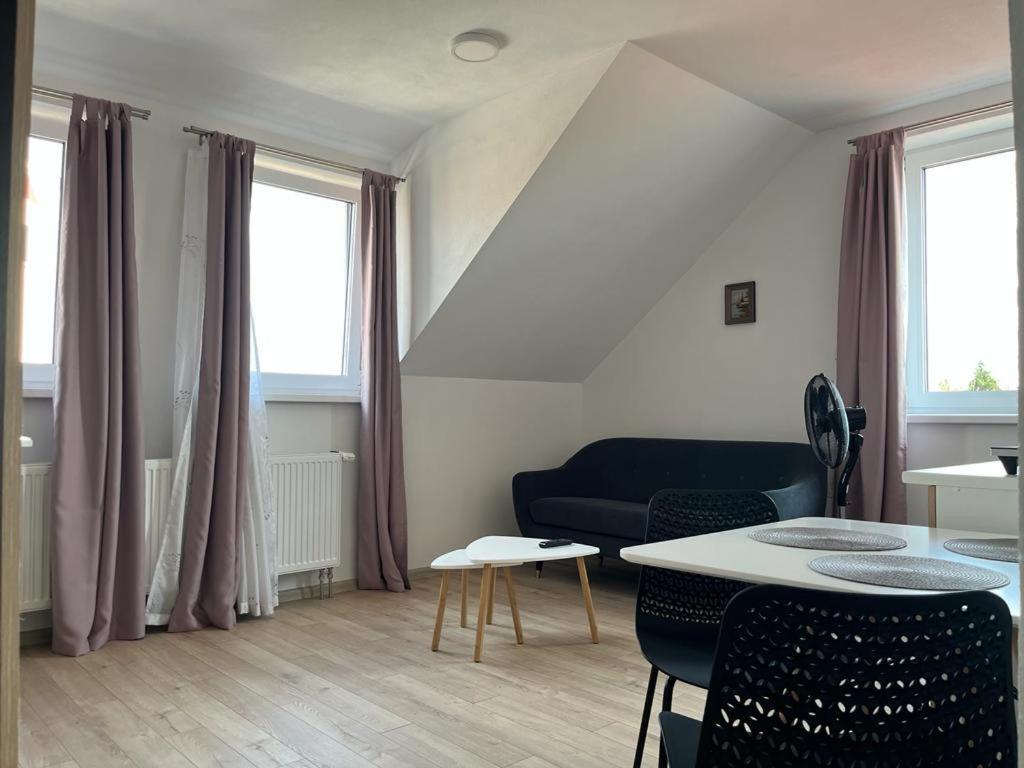 Sabina Apartaments Sfântu-Gheorghe Kültér fotó