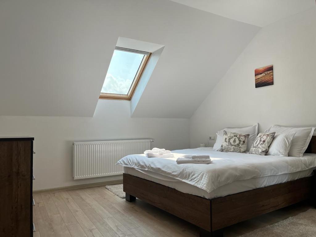 Sabina Apartaments Sfântu-Gheorghe Kültér fotó