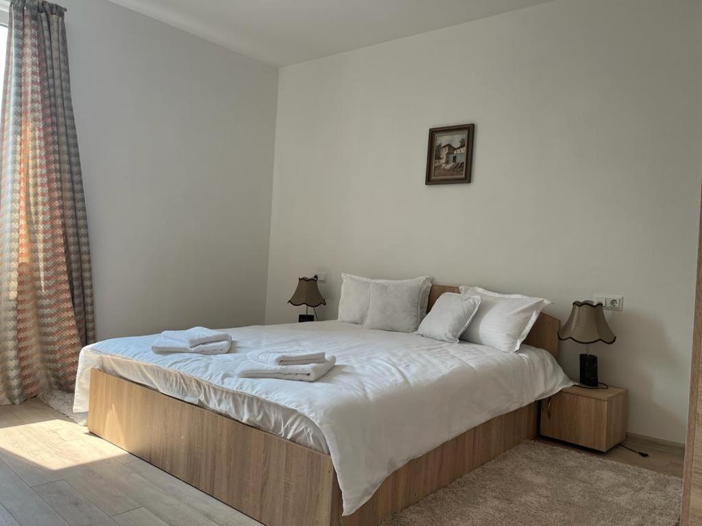 Sabina Apartaments Sfântu-Gheorghe Kültér fotó
