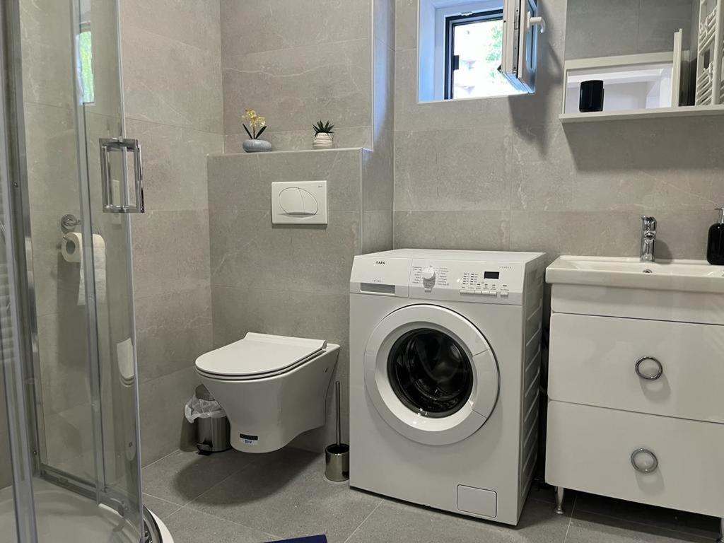 Sabina Apartaments Sfântu-Gheorghe Kültér fotó