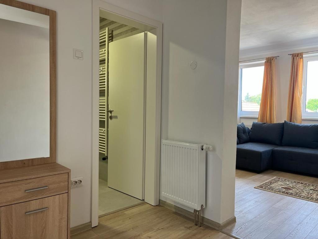 Sabina Apartaments Sfântu-Gheorghe Kültér fotó