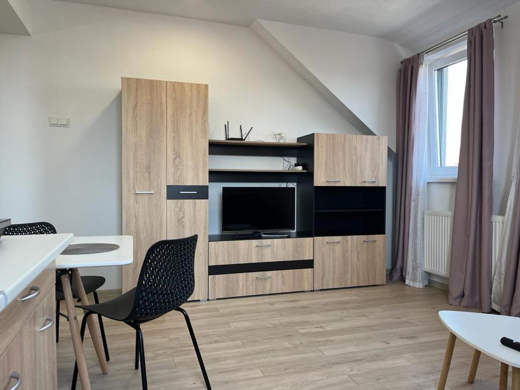 Sabina Apartaments Sfântu-Gheorghe Kültér fotó