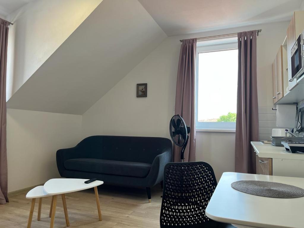 Sabina Apartaments Sfântu-Gheorghe Kültér fotó