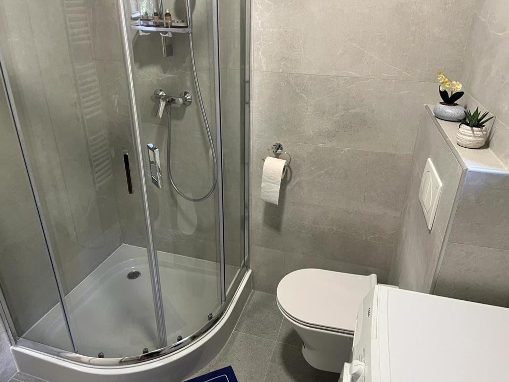 Sabina Apartaments Sfântu-Gheorghe Kültér fotó