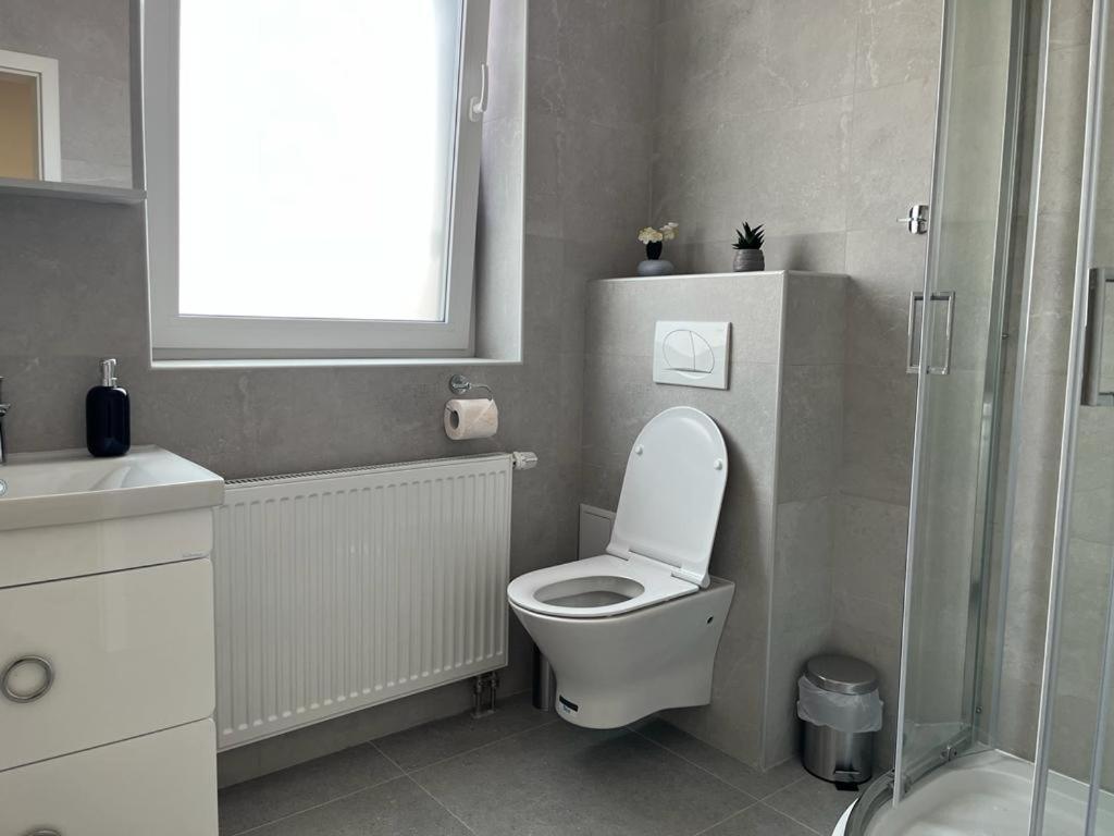 Sabina Apartaments Sfântu-Gheorghe Kültér fotó
