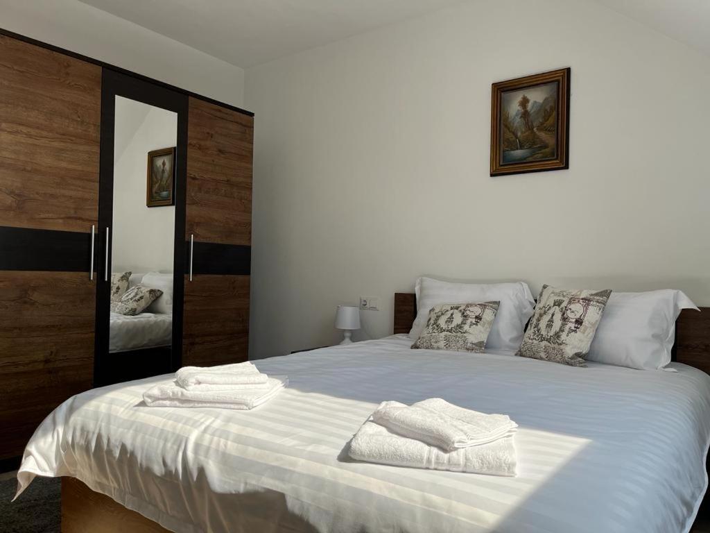 Sabina Apartaments Sfântu-Gheorghe Kültér fotó